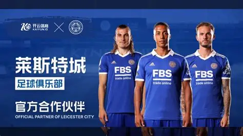 开云·体育(中国)官方网站-KAIYUNSPORTS